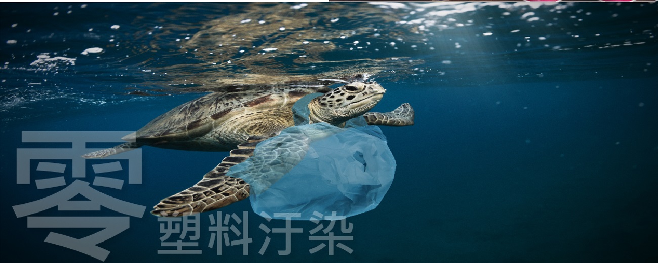 __opt__aboutcofm__coeus__resources__content_migration__mnn__images__2019__03__shutterstock_742659751